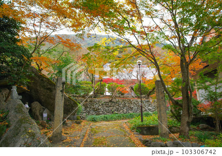 秋の紅葉が美しい福岡県田川郡の曹洞宗高座石寺 103306742