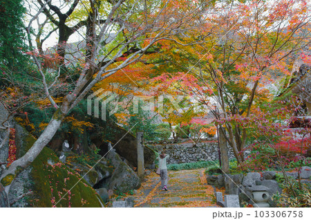 秋の紅葉が美しい福岡県田川郡の曹洞宗高座石寺 秋の紅葉が美しい福岡県田川郡の曹洞宗高座石寺 103306758