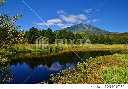 初秋の南浜湿原と利尻富士 103306773