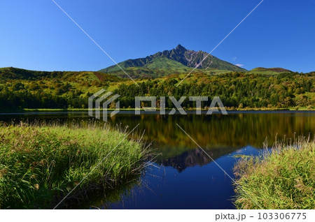 初秋のオタトマリ沼と利尻富士 103306775