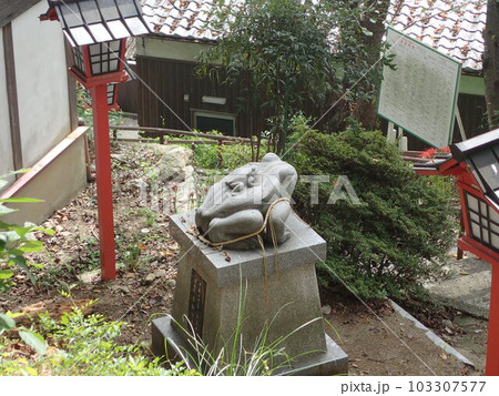 兵庫県姫路市山野井町、姫路城の北西の男山にある男山八幡宮 兵庫県姫路市山野井町、姫路城の北西の男山にある男山八幡宮 103307577