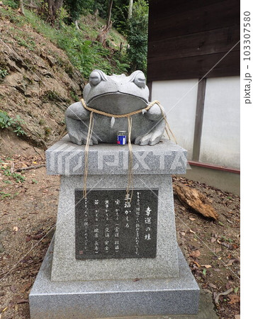 兵庫県姫路市山野井町、姫路城の北西の男山にある男山八幡宮 103307580