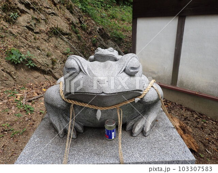 兵庫県姫路市山野井町、姫路城の北西の男山にある男山八幡宮 103307583