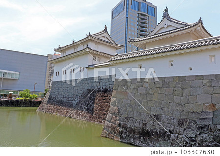 駿府城(静岡) 駿府城(静岡) 103307630