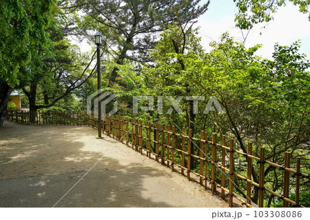 松山・道後温泉近くの新緑の道後公園 103308086