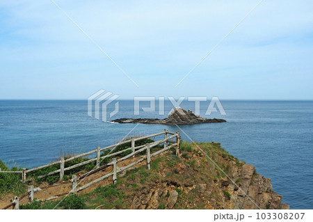 小樽 高島岬のトド岩 小樽 高島岬のトド岩 103308207