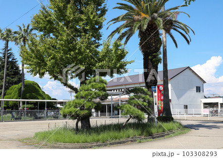 山口県 宇部市 宇部新川駅 山口県 宇部市 宇部新川駅 103308293