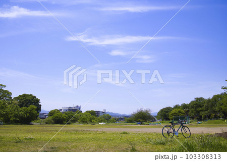 夏の川の近くの河川敷野球グラウンド 103308313
