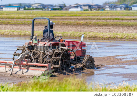 田植え　代掻き　春　トラクタ　柄振 103308387