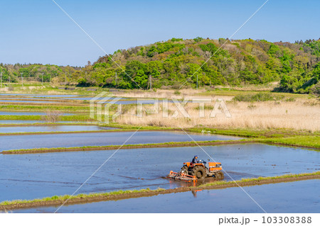 田植え　代掻き　春　トラクタ　柄振 103308388