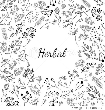 Vector flower frame line art. Floral card with leaves 103308397