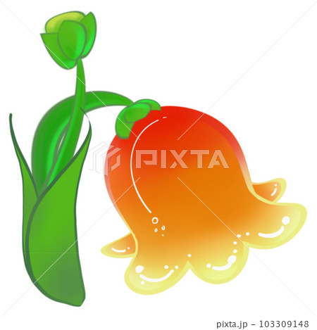 orange flower orange flower 103309148