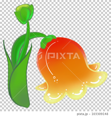 orange flower orange flower 103309148