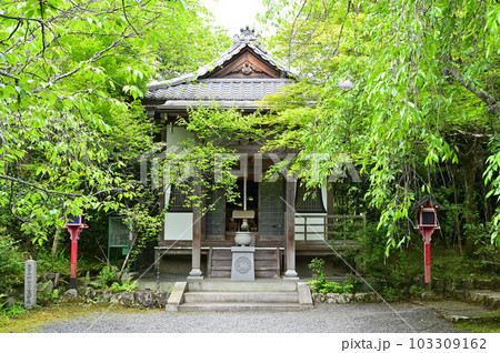 常照寺 鬼子母神堂 常照寺 鬼子母神堂 103309162