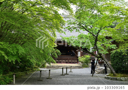 常照寺　本堂　 103309165