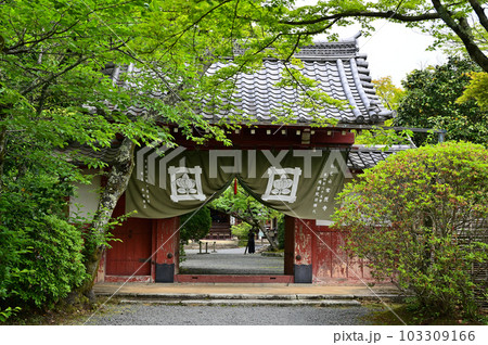 常照寺 吉野門 常照寺 吉野門 103309166