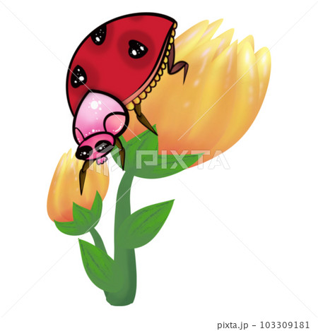 Ladybug on orange flower 103309181