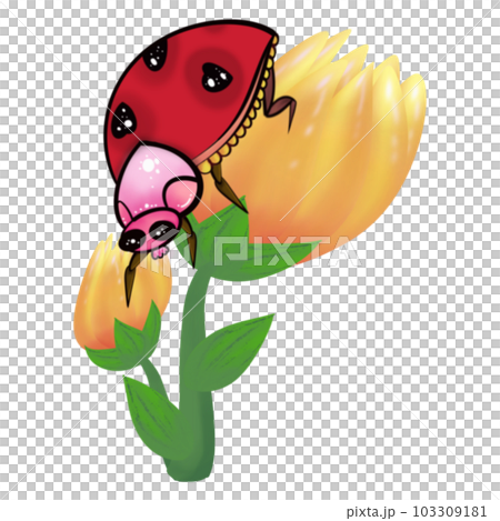 Ladybug on orange flower 103309181
