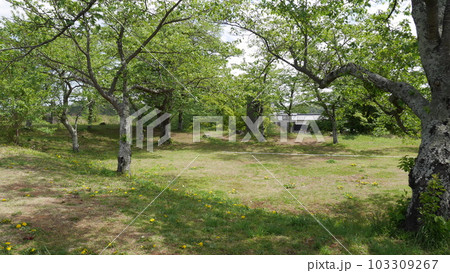 白河小峰城 白河小峰城 103309267