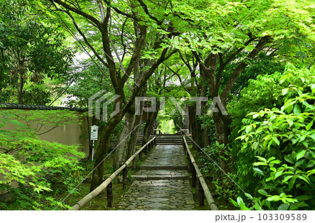 光悦寺　参道 103309589