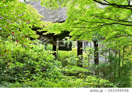 光悦寺 鐘楼 光悦寺 鐘楼 103309598