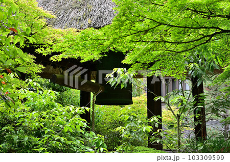 光悦寺 鐘楼 光悦寺 鐘楼 103309599
