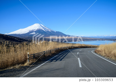 山中湖パノラマライン 山中湖パノラマライン 103309653