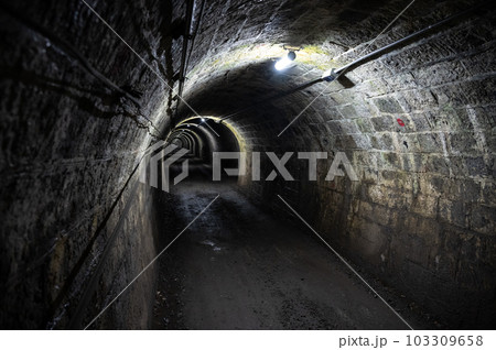 ラリージャパンで使われた伊世賀美隧道 ラリージャパンで使われた伊世賀美隧道 103309658