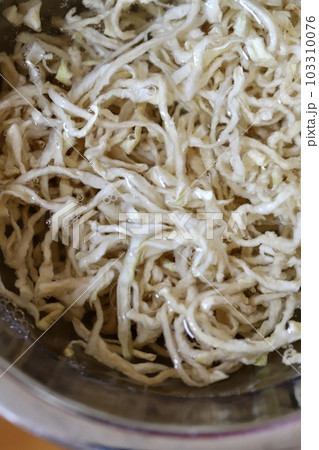 水で戻している切干大根 乾燥野菜 水で戻している切干大根 乾燥野菜 103310076