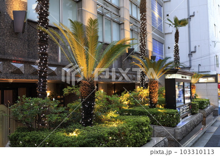 都心の簡易ホテル入口 103310113