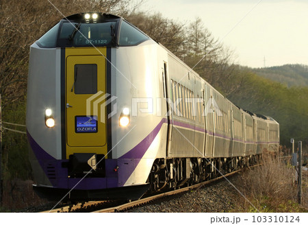 夕刻の根室本線を駆ける特急おおぞら　おおぞら　キハ261 103310124