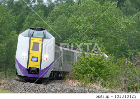 新緑の十勝地方を駆ける特急おおぞら おおぞら 根室本線 石勝線 キハ261 新緑の十勝地方を駆ける特急おおぞら おおぞら 根室本線 石勝線 キハ261 103310125