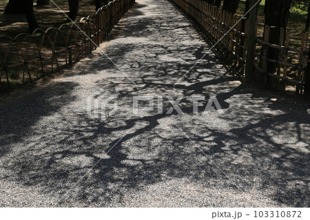 新緑の栗林公園（4月下旬） 103310872