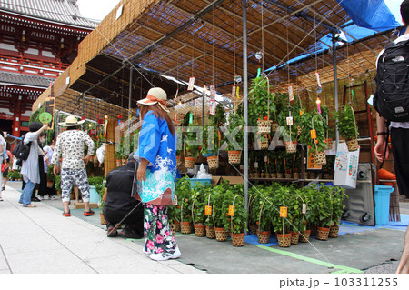 浅草寺はほおづき市のう売り子の華やいだ声と、涼やかな風鈴の音が相まって初夏の暑さを忘れさせて 浅草寺はほおづき市のう売り子の華やいだ声と、涼やかな風鈴の音が相まって初夏の暑さを忘れさせて 103311255