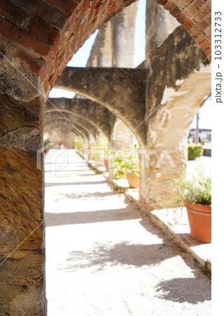 テキサス州サンアントニオ ミッションズ国立歴史公園 古の建造物 テキサス州サンアントニオ ミッションズ国立歴史公園 古の建造物 103312733