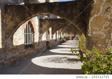 伝道所の公園内部の景色 伝道所の公園内部の景色 103312735