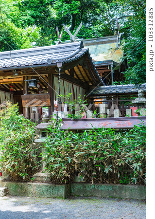 大阪府高槻市の磐手杜神社 拝殿と本殿 大阪府高槻市の磐手杜神社 拝殿と本殿 103312885