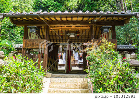 大阪府高槻市の磐手杜神社　拝殿 103312893