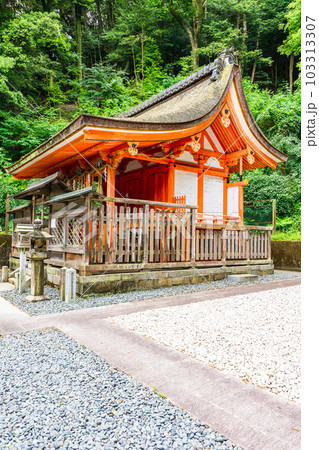京都市山科区の山科神社 本殿 京都市山科区の山科神社 本殿 103313307