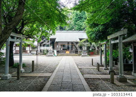 古い創建の伊豆美神社(東京都狛江市) 古い創建の伊豆美神社(東京都狛江市) 103313441