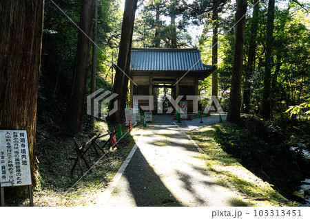 【中国三十三観音霊場】第二十五番 鰐淵寺 秋の日の参道と仁王門1 島根県出雲市 【中国三十三観音霊場】第二十五番 鰐淵寺 秋の日の参道と仁王門1 島根県出雲市 103313451