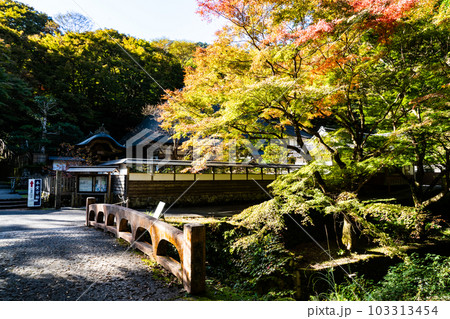 【中国三十三観音霊場】第二十五番 鰐淵寺 秋の日差しの参道と鰐淵川 島根県出雲市 【中国三十三観音霊場】第二十五番 鰐淵寺 秋の日差しの参道と鰐淵川 島根県出雲市 103313454