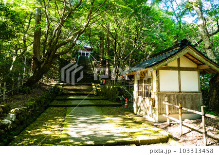 【中国三十三観音霊場】第二十五番 鰐淵寺 秋の木漏れ日の石段2 島根県出雲市 【中国三十三観音霊場】第二十五番 鰐淵寺 秋の木漏れ日の石段2 島根県出雲市 103313458