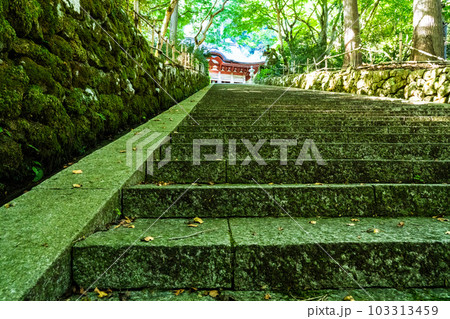 【中国三十三観音霊場】第二十五番 鰐淵寺 秋の日の石段と根本堂1 島根県出雲市 【中国三十三観音霊場】第二十五番 鰐淵寺 秋の日の石段と根本堂1 島根県出雲市 103313459