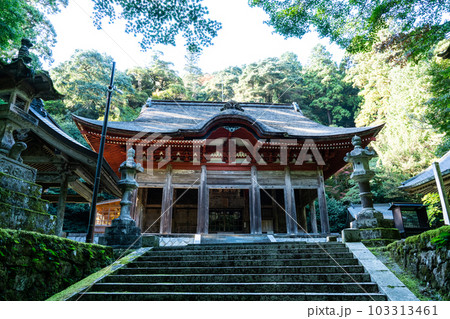 【中国三十三観音霊場】第二十五番 鰐淵寺 秋の日の石段と根本堂3 島根県出雲市 【中国三十三観音霊場】第二十五番 鰐淵寺 秋の日の石段と根本堂3 島根県出雲市 103313461