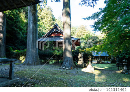 【中国三十三観音霊場】第二十五番 鰐淵寺 秋の日の根本堂と手水舎 島根県出雲市 【中国三十三観音霊場】第二十五番 鰐淵寺 秋の日の根本堂と手水舎 島根県出雲市 103313463