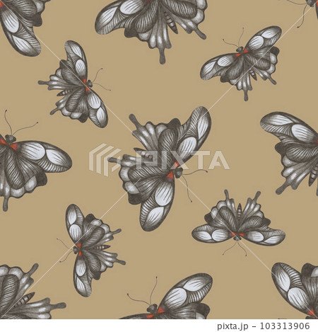 Hand-Drawn Seamless Pattern of Black and White Butterflies of Various Sizes on Brown Backdrop. Hand-Drawn Seamless Pattern of Black and White Butterflies of Various Sizes on Brown Backdrop. 103313906