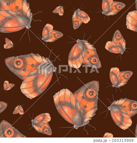 Seamless Pattern with Hand Drawn Colorful Butterflies on Brown Background. Digital Paper with Butterfly. 103313909