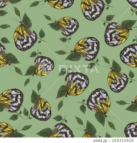 Seamless Pattern with Hand Drawn Colorful Butterflies on Green Background. Digital Paper with Butterfly. 103313910