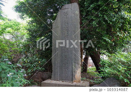 井伊直弼公敬慕碑 伊豆美神社(東京都狛江市) 井伊直弼公敬慕碑 伊豆美神社(東京都狛江市) 103314087